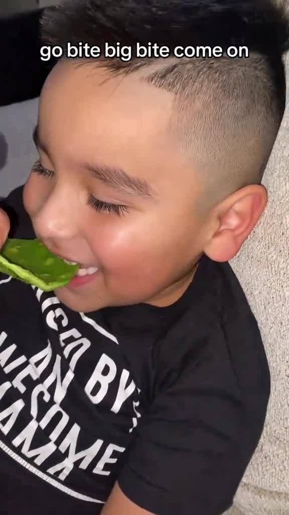 Ian-got-his-AWESOME-haircut-today-his-so-Happy--7315625040018443566-h264_540p_437187-0.mp4
