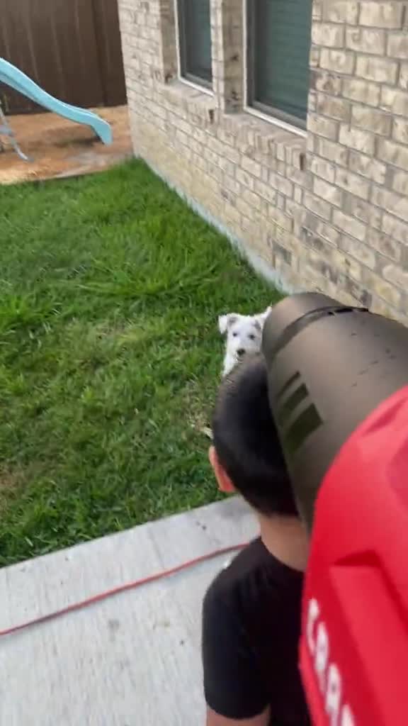 Testing-out-my-new-blower-7232845374761831722-h264_540p_926822-1.mp4