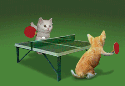 Kitty-Ping-Pong-Cat-Cats-Kitty-Kitten-Kittens-Ping-Pong-funny-animal-animals-animated-animation-animations-gif-gifs-LOL-cute-laughs-laugh-laughing-mania-gif-free-download-funny.gif