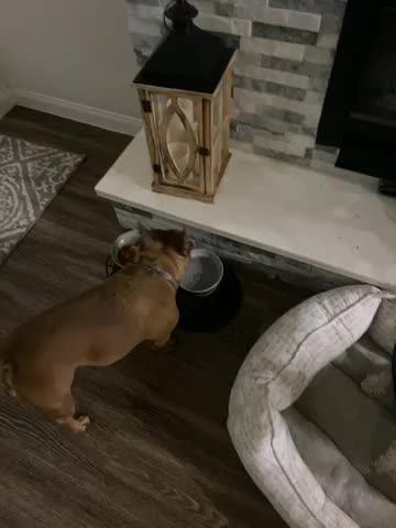 bcc495847b0d9a709b580a6b722790ad.mov