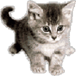 342c7378e0c3196f3b77a7fa07129813.gif