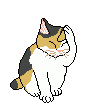 36d77a503bd104be655245a45e503b6b.gif