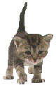 4bfbd52848184c5a665b54778ef74050.gif