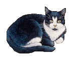 6d782cda664b821bddb8e250ed6f0e8d.gif