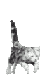 8ecb14dfc12b5691664ce5177d68f497.gif