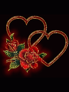d4018aea6951c01ded8401357a56545e.gif