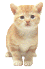 ddd655960eacc058073674291c5b0b3c.gif