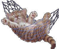 dde6bfc1e69bd880d33d21b4ce16cab7.gif