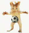df5d08cdd78fddf99b50ad568d2897e0.gif
