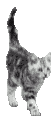 df84d71b93d2a1bfafd9feaeee82f5de.gif