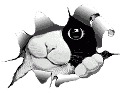 ef8b9ff86d6a94febd58c7b90e76a22b.gif