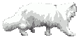 f971a4decae1c0db43de30b99d64ab24.gif