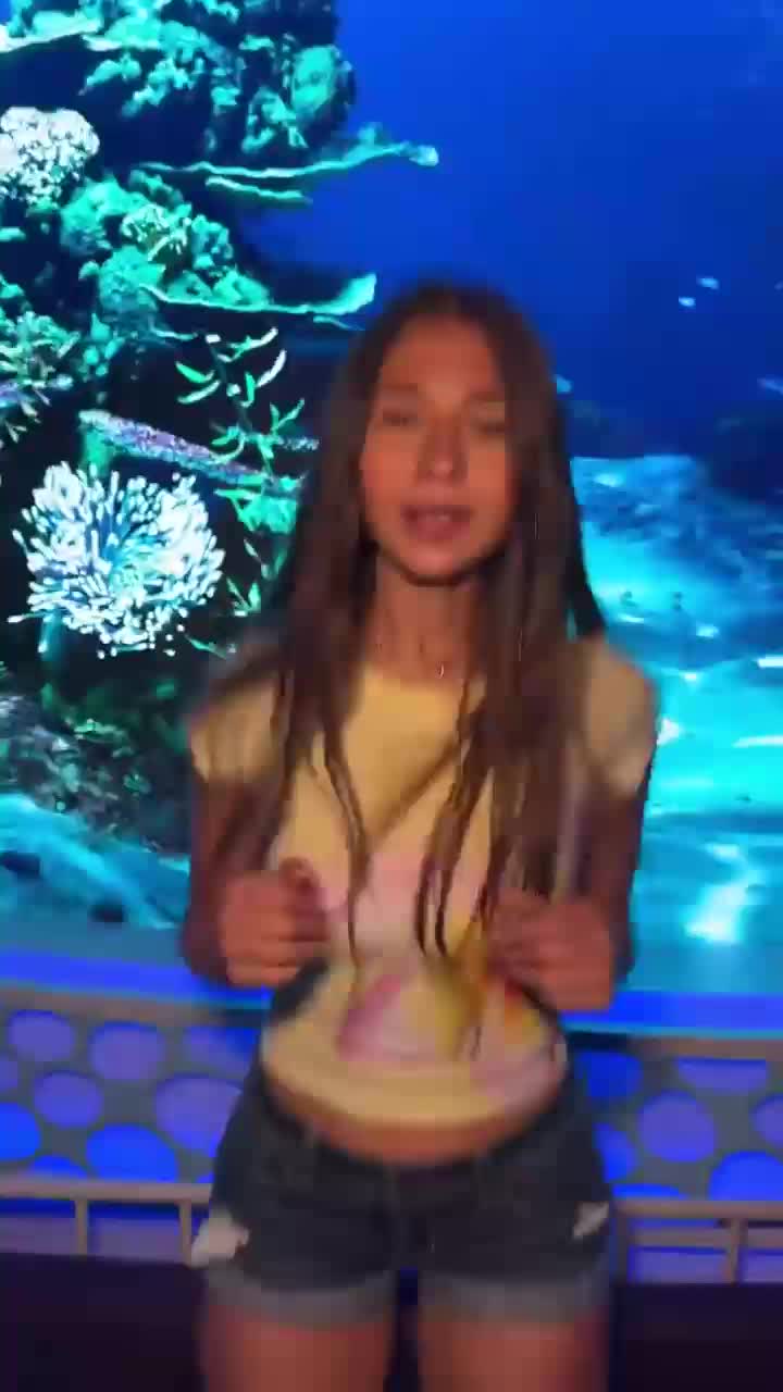 6920009ccf29f10806ae514c153edcd5.mp4